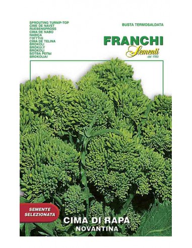 SEMI DI CIMA DI RAPA 90 GIORNI raccolto abbondante