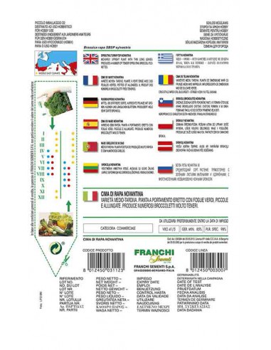 SEMI DI CIMA DI RAPA 90 GIORNI raccolto abbondante