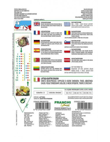 SEMI LATTUGA QUATTRO STAGIONI