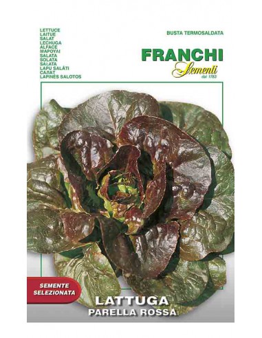 SEMI LATTUGA ROUGETTE MONTPEL. o  PARELLA ROSSA