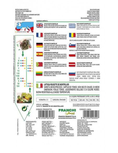 SEMI LATTUGA ROUGETTE MONTPEL. o  PARELLA ROSSA