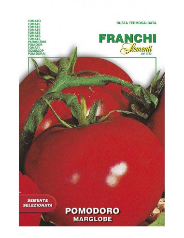 POMODORO MARGLOBE