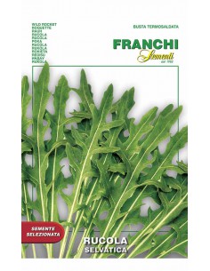 SEMI RUCOLA SELVATICA