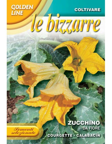 BIZZARRE ZUCCHINO FIORE