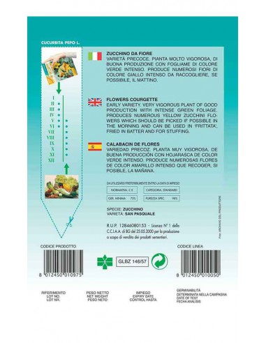 SEMI ZUCCHINO DA FIORE