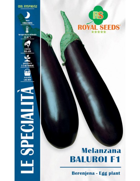 SEMI MELANZANA BALUROI F1 Resistente alle malattie.