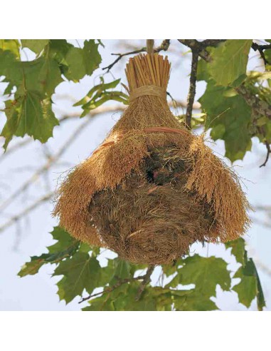 CASETTA PER UCCELLINI CAPANNA 17X17X20 CENTIMETRI