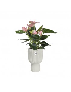 VASO A COPPA VIBES FOLD - ELHO COLORE BIANCO 14 CM 2