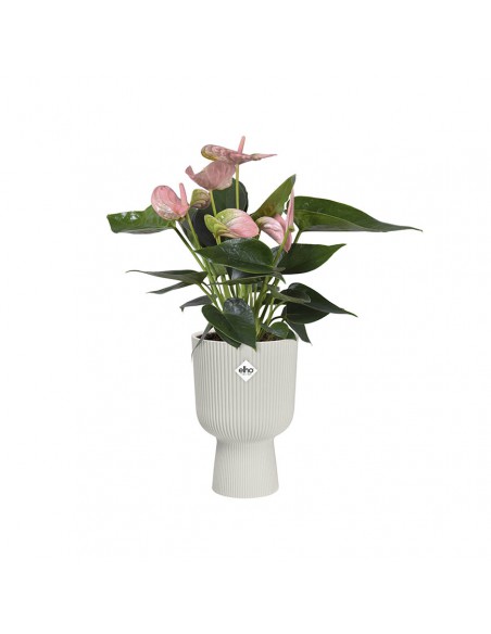 VASO A COPPA VIBES FOLD - ELHO COLORE BIANCO 14 CM