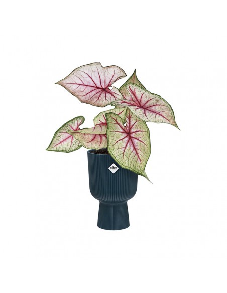 VASO A COPPA VIBES FOLD - ELHO COLORE BLU 14 CM