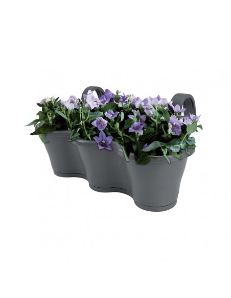 FIORIERA DA RINGHIERA VASO CORSICA TRIO - BIANCO