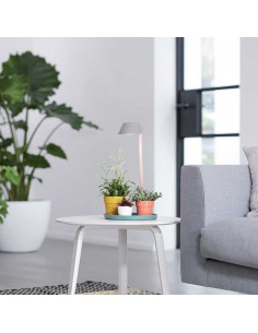 LUCE PER PIANTE ELHO PLANT LIGHT - GRIGIO GHIACCIO 2