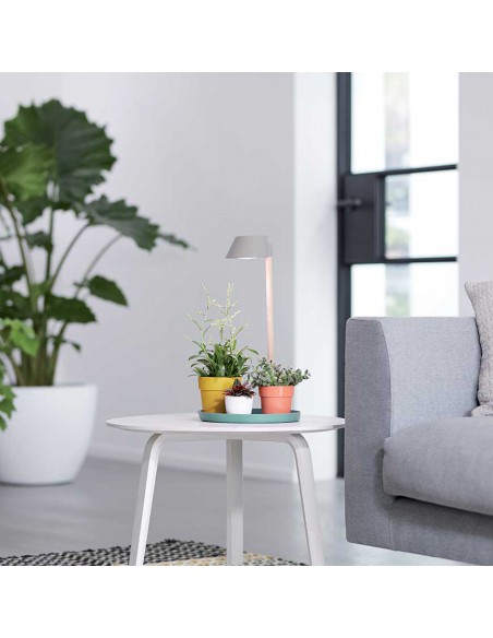 LUCE PER PIANTE ELHO PLANT LIGHT - GRIGIO GHIACCIO