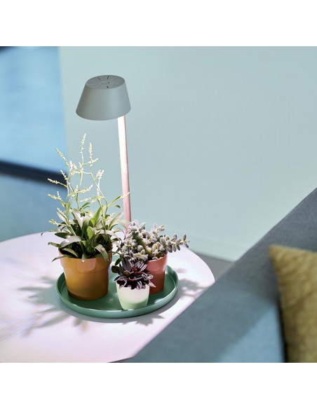 LUCE PER PIANTE ELHO PLANT LIGHT - GRIGIO GHIACCIO