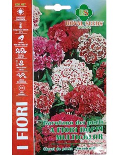 SEMI GAROFANO DEI POETI FIORI DOPPI