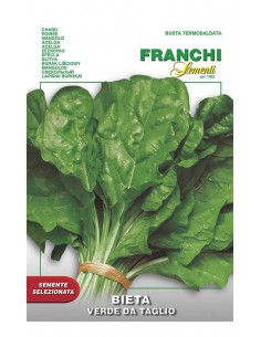 SEMI BIETA COMUNE DA TAGLIO foglie tenere e croccanti