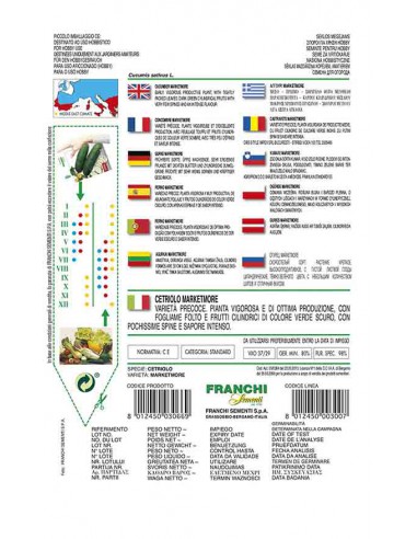 SEMI CETRIOLO MARKETMORE