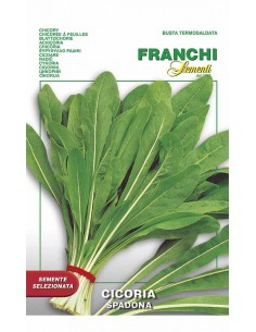 SEMI CICORIA SPADONA