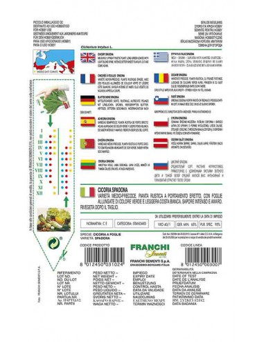 SEMI CICORIA SPADONA