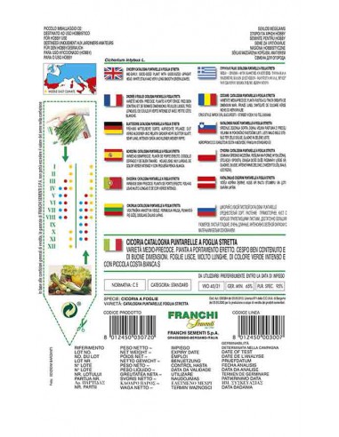 SEMI CICORIA CATATALOGNA Varietà "PUNTARELLE" Gusto unico