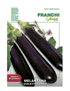 SEMI MELANZANA VIOLETTA LUNGA