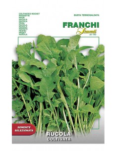 Semi di RUCOLA COLTIVATA Franchi Sementi