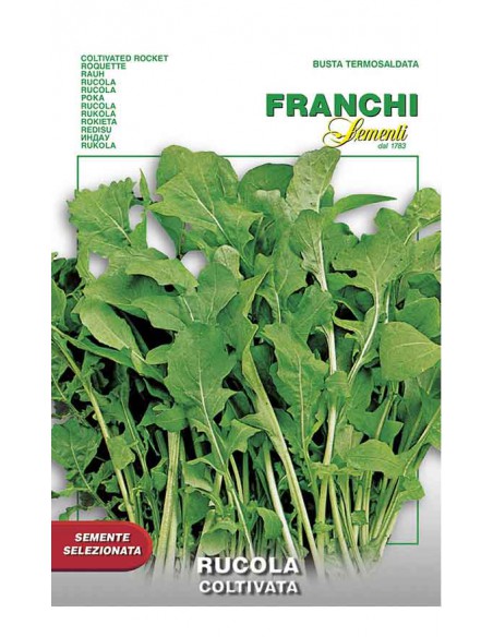 Semi di RUCOLA COLTIVATA Franchi Sementi