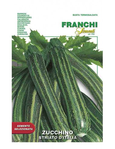 ZUCCHINO STRIATO ITALIA