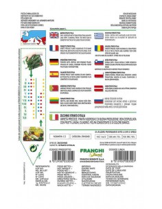 SEMI ZUCCHINO STRIATO ITALIA 2