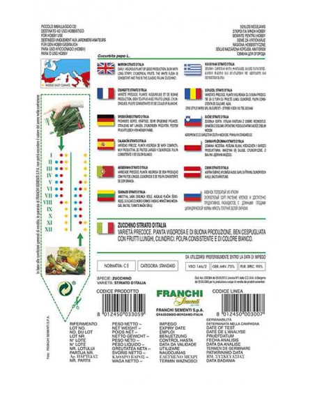 ZUCCHINO STRIATO ITALIA
