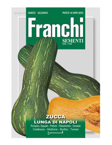 ZUCCA LUNGA NAPOLETANA