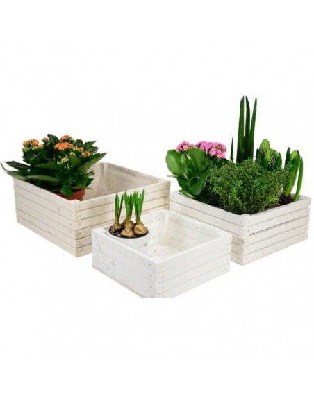 CASSETTINA LEGNO CUBO (PER 4) 30X30X13,5CM INSIDE