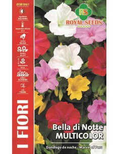 SEMI DI BELLA DI NOTTE MIX Fioritura intensa e profumata