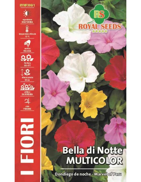 SEMI DI BELLA DI NOTTE MIX Fioritura intensa e profumata