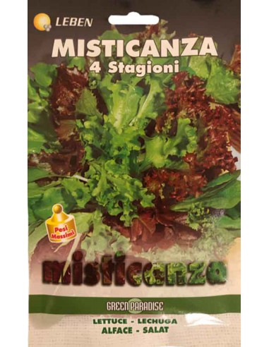 MISTICANZA DI INSALATINE AMARE E DOLCI CON RUCCOLA QUATTRO STAGIONI