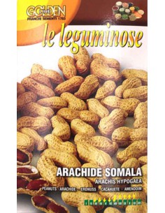 Semi Arachide Somala Franchi 50g - Coltivazione e Gusto