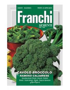 SEMI CAVOLO BROCCOLETTO RAMOSO CALABRESE