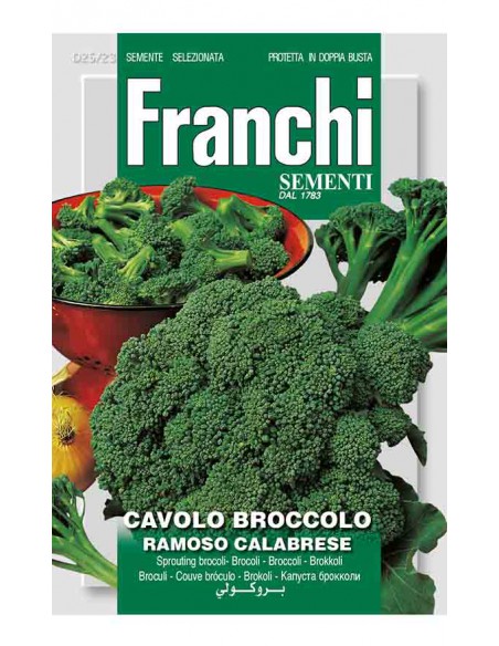 SEMI CAVOLO BROCCOLETTO RAMOSO CALABRESE