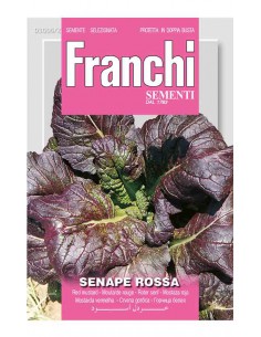 SEMI SENAPE ROSSA