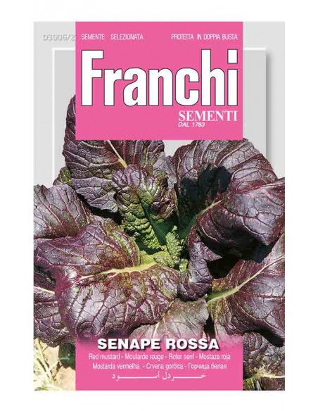 SENAPE ROSSA