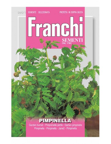 PIMPINELLA