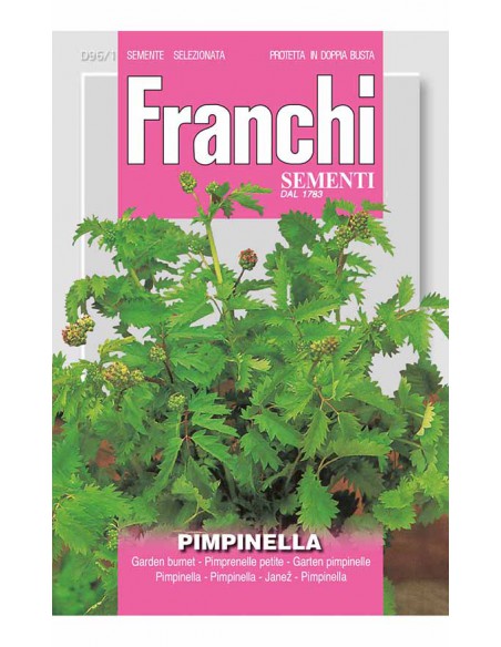 PIMPINELLA
