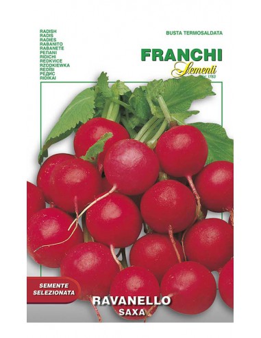 SEMI DI RAVANELLO SAXA 2 per un raccolto rapido, Gusto