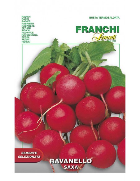 SEMI DI RAVANELLO SAXA 2 per un raccolto rapido, Gusto