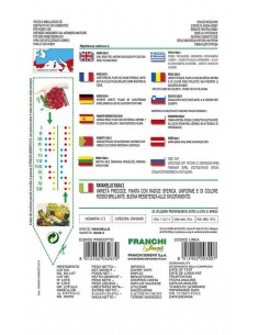 SEMI DI RAVANELLO SAXA 2 per un raccolto rapido, Gusto 2