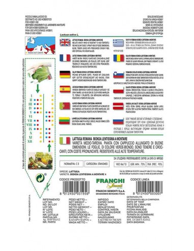SEMI  LATTUGA ROMANA BIONDA LENTISSIMA A MONTARE