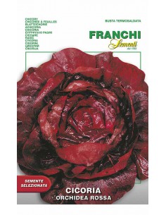 SEMI DI CICORIA ORCHIDEA ROSSA Foglie croccanti