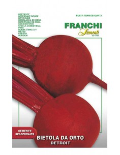 SEMI BIETA ORTO DETROIT 2 Varietà precoce, foglie rosse.