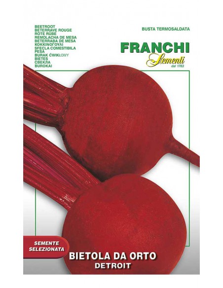 SEMI BIETA ORTO DETROIT 2 Varietà precoce, foglie rosse.