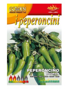 SEMI PEPERONCINO PADRON